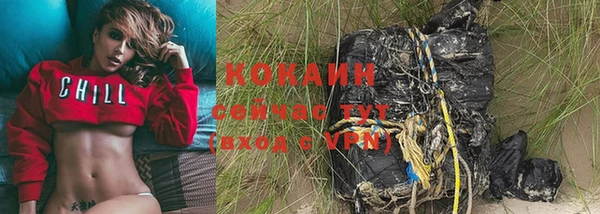 крисы Новозыбков