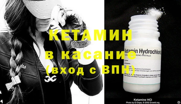 крисы Новозыбков