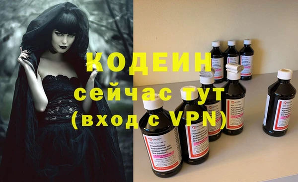 крисы Новозыбков