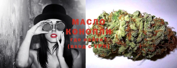 крисы Новозыбков
