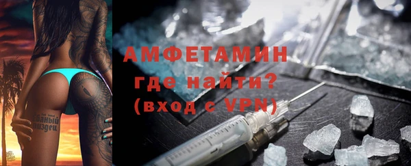 крисы Новозыбков
