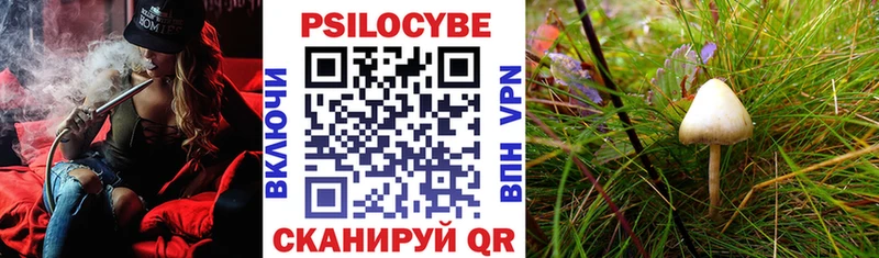 Псилоцибиновые грибы мицелий  Сатка 