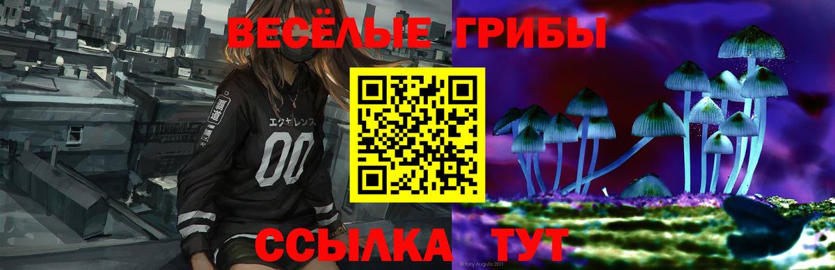 где купить наркоту  Псилоцибиновые грибы MAGIC MUSHROOMS  Вход с VPN  Сатка 